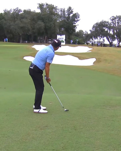 m3l3ZId5bx8qyhb .jpg