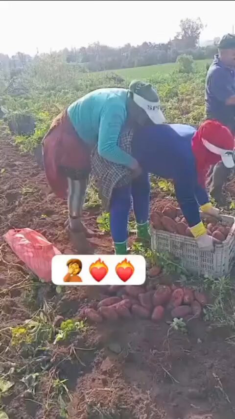 aIuUfFSBO YvtSMo.jpg