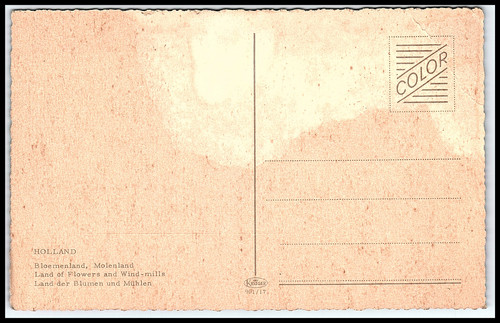 cc60c66b5b17.jpg