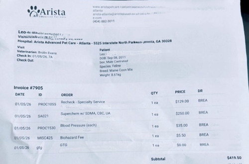 G BQeOjXQAABewi?format=jpg.jpg