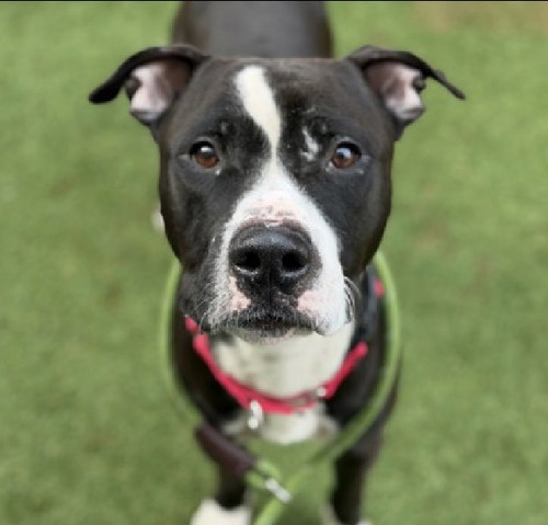 G d9phYWsAEqcEe?format=jpg.jpg