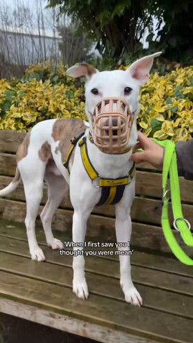 ogDBgKvoenmJRrYw.jpg