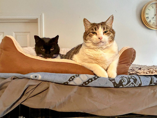 G fjoO4XMAACn0r?format=jpg.jpg