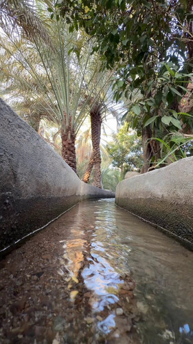 NQehwn ijsKY9paW.jpg