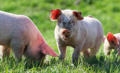 R8PIAgjhE7h54rOmQ6V6wTz5GZDGWmI4NtwlF42IE1oVbY2TnIYUgn KvI62DJl0ZA6nd9d L5POkKEHGtalhOeQKit7nroSbFqm.jpg