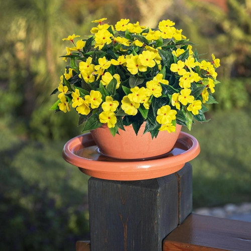 81qsycrqmdL. AC SL1500 (1).jpg