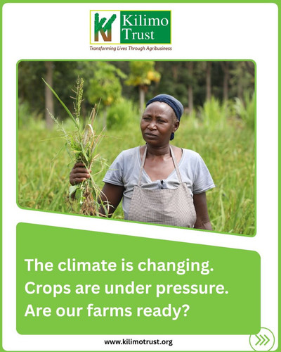 G m FgbacAAcx V?format=jpg.jpg