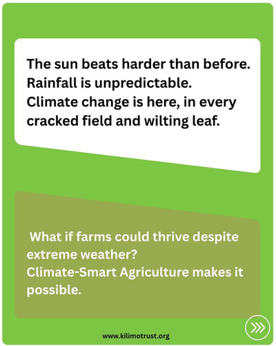 G m Go bEAAMfQa?format=jpg.jpg