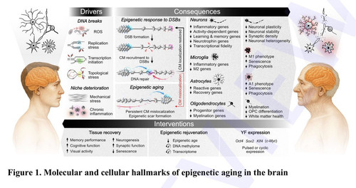 G lLlGObQAg2lGC?format=jpg.jpg
