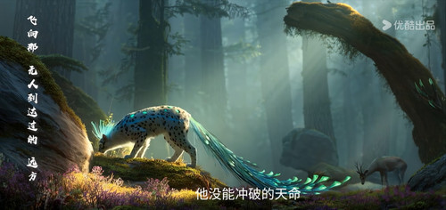 Youku 1768389702787.jpg