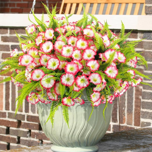 81sy6WTKa6L. AC SL1500 (1).jpg