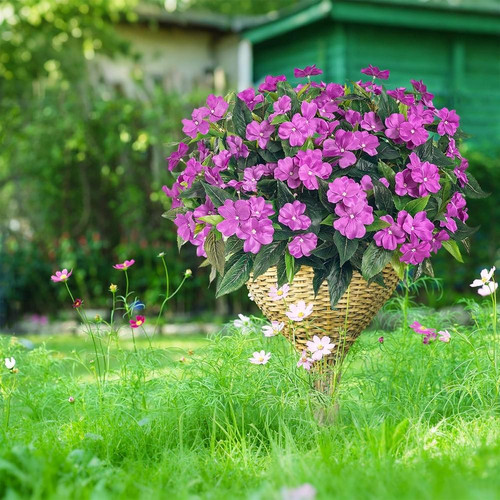 81jDPs+9jqL. AC SL1500 (1).jpg