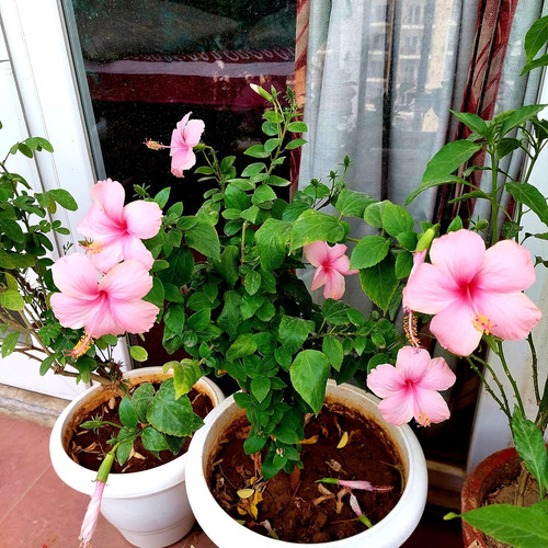 91EszDR9JhL. SL1500 .jpg