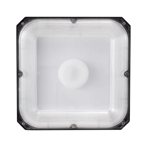 us TPDDS80W4JT0CK09FV7 original img v1 canopy light m100 11.webp