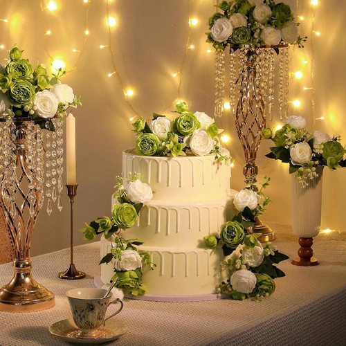 81k27 s73vL. AC SL1500 (1).jpg