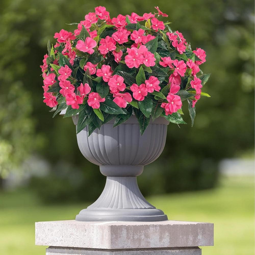 81EhqFL6I4L. AC SL1500 (1).jpg