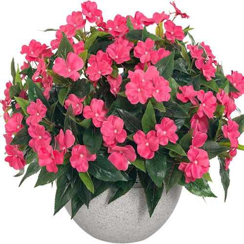 81IW2WZf+GL. AC SL1500 (1).jpg