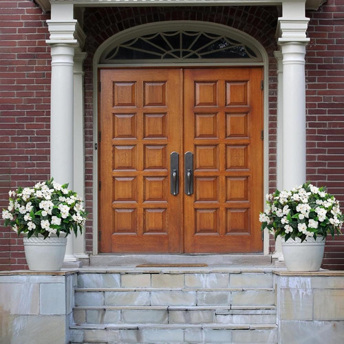 81jqQ1l0ACL. AC SL1500 (1).jpg