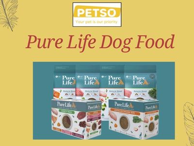 Balanced Dog Food for Everyday Health.jpg