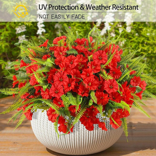 81tuR+IYQBL. AC SL1500 (1).jpg