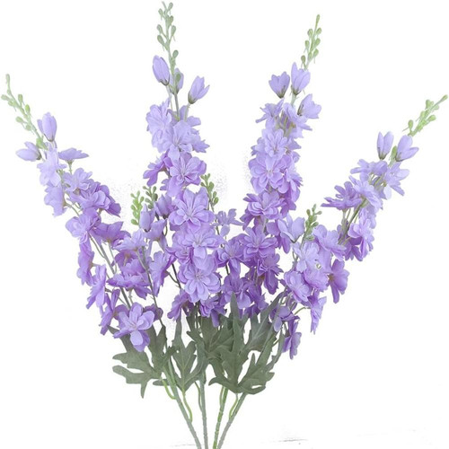 61T6uWtEIdL. AC SL1000 (1).jpg