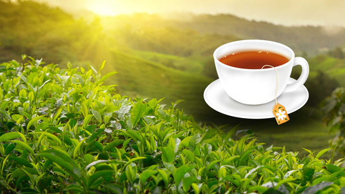 Top Tea Manufacturers in Kanpur for Fresh and Quality Tea.jpg