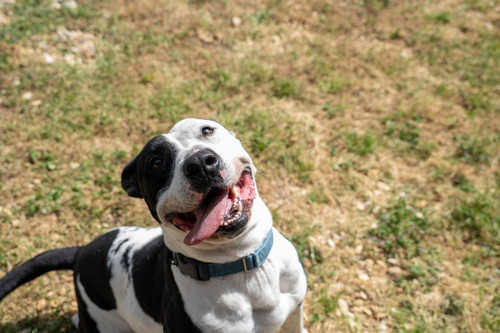 G e41uXWsAAJlCu?format=jpg.jpg