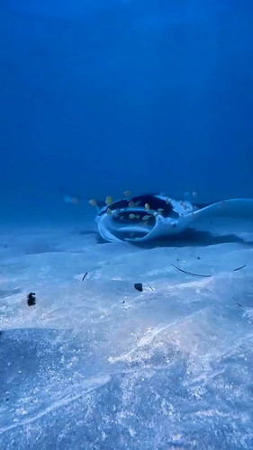 yUCsoesM8YBl4 ac.jpg