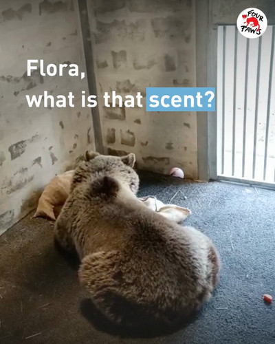 0JB9qECol u O9X1.jpg