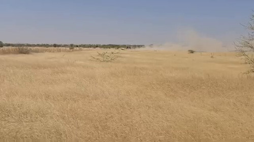 bZXExK KT5SqMtb6.jpg