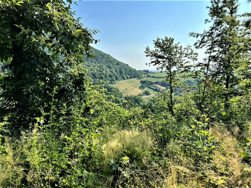 G jZkn WsAAdCvV?format=jpg.jpg