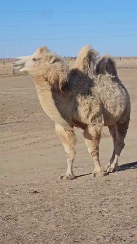 yW773qZ 0I0EoQdB.jpg