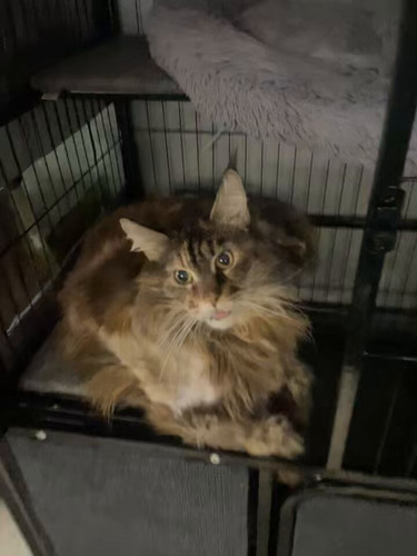 4QcP7Flxco1Bbl B.jpg