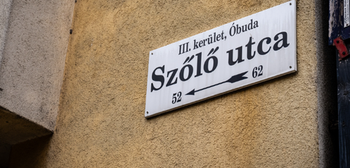 G mzAetXQAAkkgq?format=png.png