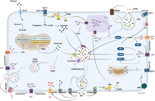 G gz40 XgAE2Dvv?format=jpg.jpg