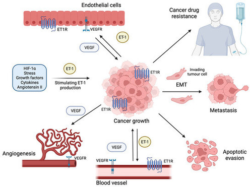 G L8gaLa0AANpVC?format=jpg.jpg