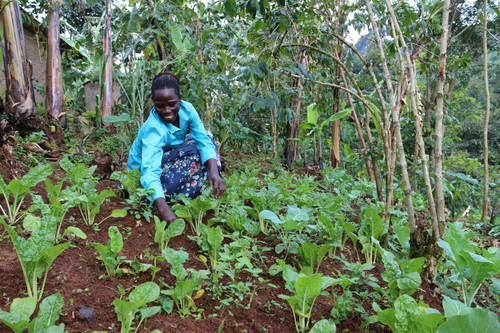 G ngU8BXUAAzXKS?format=jpg.jpg