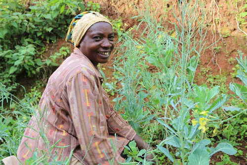 G ngVYTXAAAfZq6?format=jpg.jpg