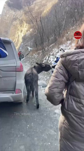 LMjb3jt5f9Sapw U.jpg