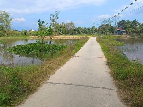 615079643 855054297368460 2261626493887578601 n.jpg