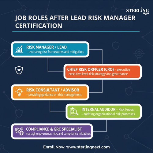 JOB ROLES AFTER LEAD RISK MANAGER CERTIFICATION.jpg