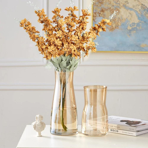 61PqeVervuL. AC SL1001 (1).jpg