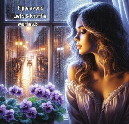 AVOND regen PAARS.jpg