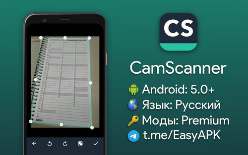 5997833035170122680 y 4.jpg