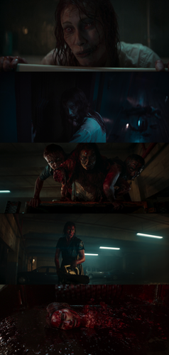 InCollage 20260114 180206012.png