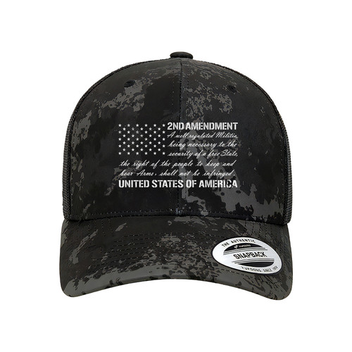 11 Snapback Front 2nd amendment.jpg
