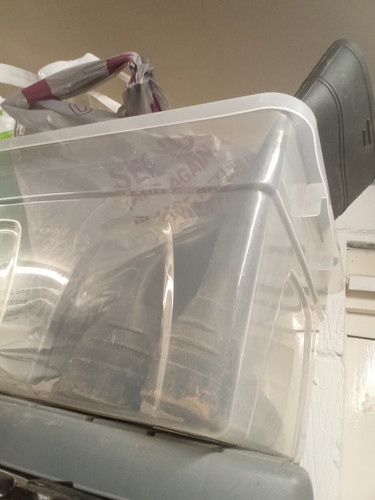 IMG 20260113 151939.jpg