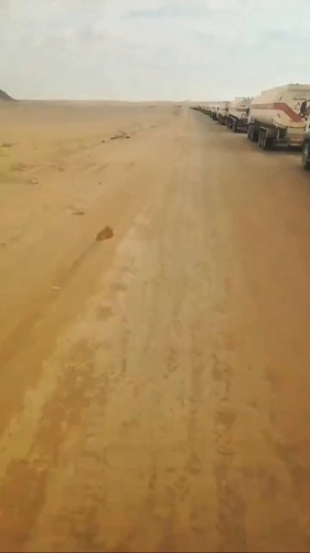 LLsKh9f16i 5Y03T.jpg