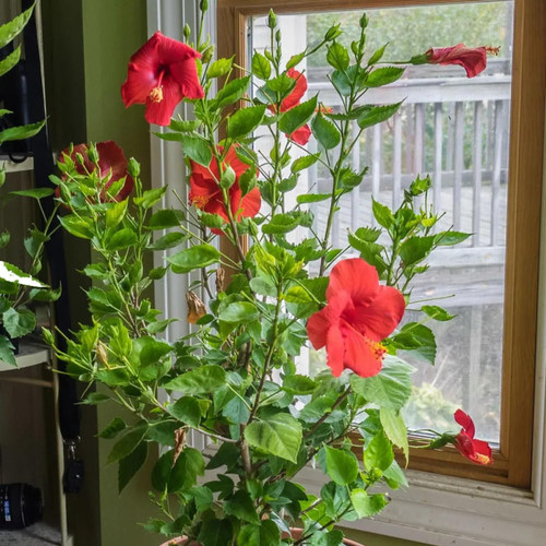 71dBLbaqHZL. SL1500 .jpg