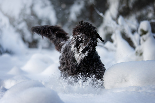 DW2A0406 DxO копия.jpg